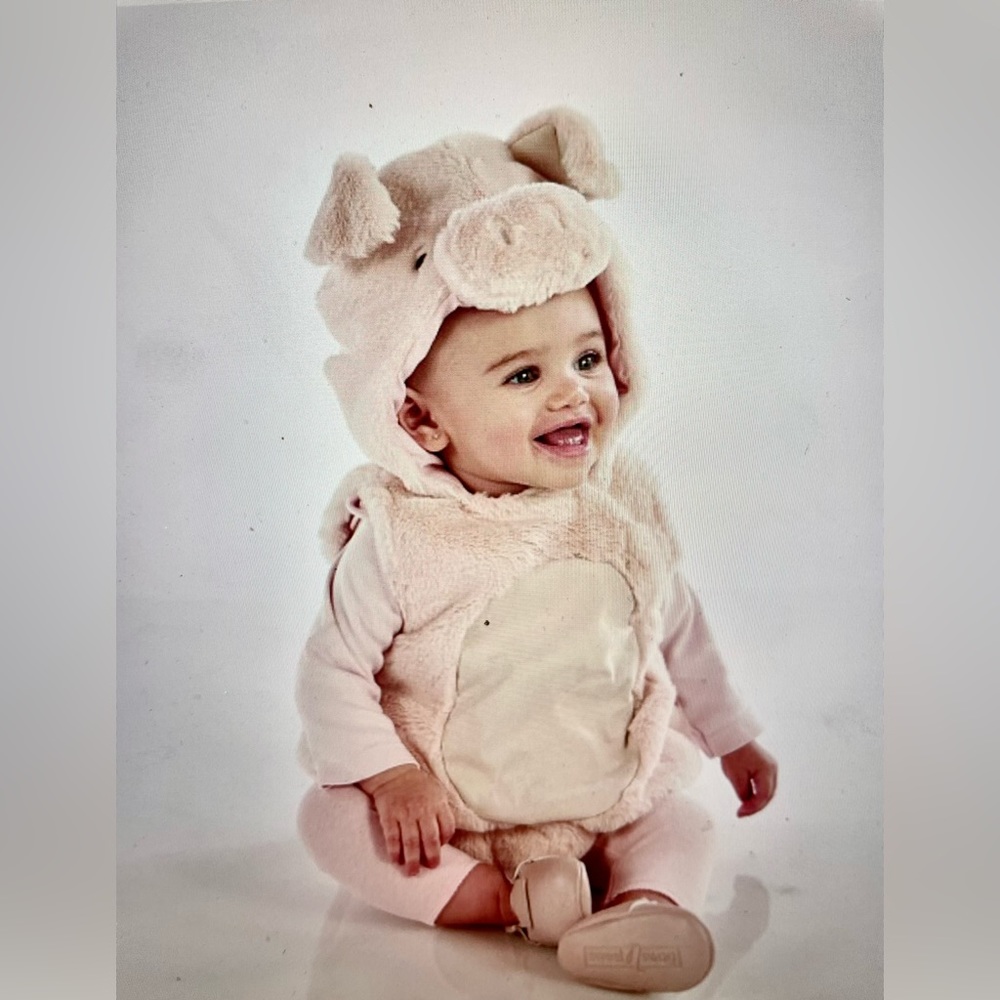 COPY - COPY - Baby Piglet Halloween Costume